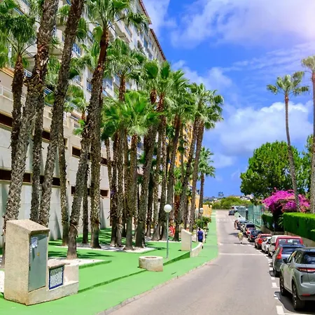Apartment Samaniego Id175 *